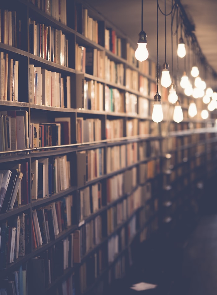Rows of bookshelves in a library, lit by hanging bulbs